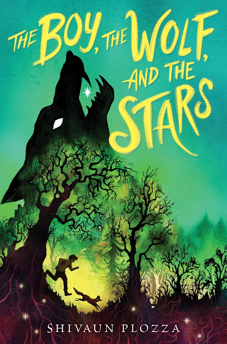   A boy and his pet fox go on a quest to find a wolf who has eaten all the Stars in the sky before the Shadow Witch destroys the Stars and removes good magic from the world forever, perfect for fans of  The Girl Who Drank the Moon  and  Nevermoor .  