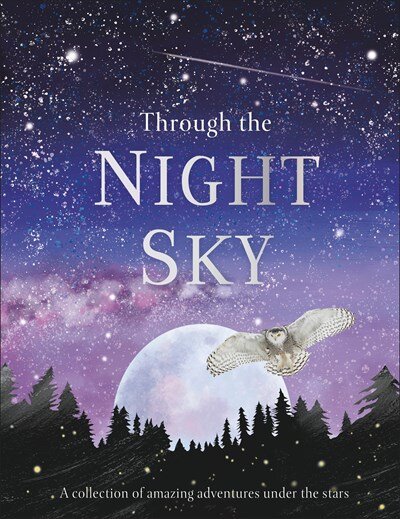   A beautifully illustrated collection of nonfiction stories featuring the many wonders that exist in the night sky.   Beginning with a sunset and ending at dawn,  Through the Night Sky  shines a light on the magical events taking place in the darkne