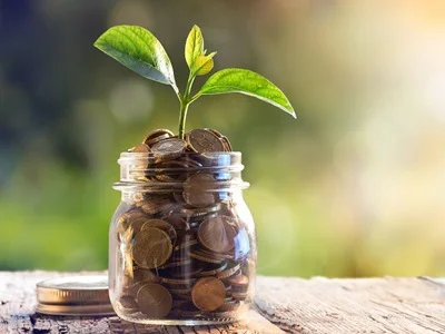 A jar of pennies with a sapling coming out of it