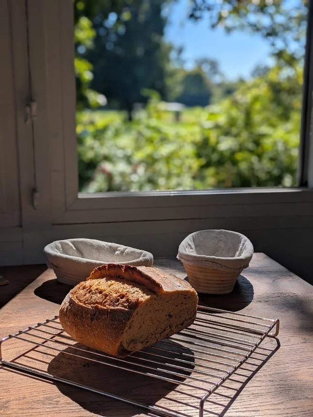 A freshly baked round loaf of artisanal bread cooling on a wire rack next to proofing baskets by a sunlit window.