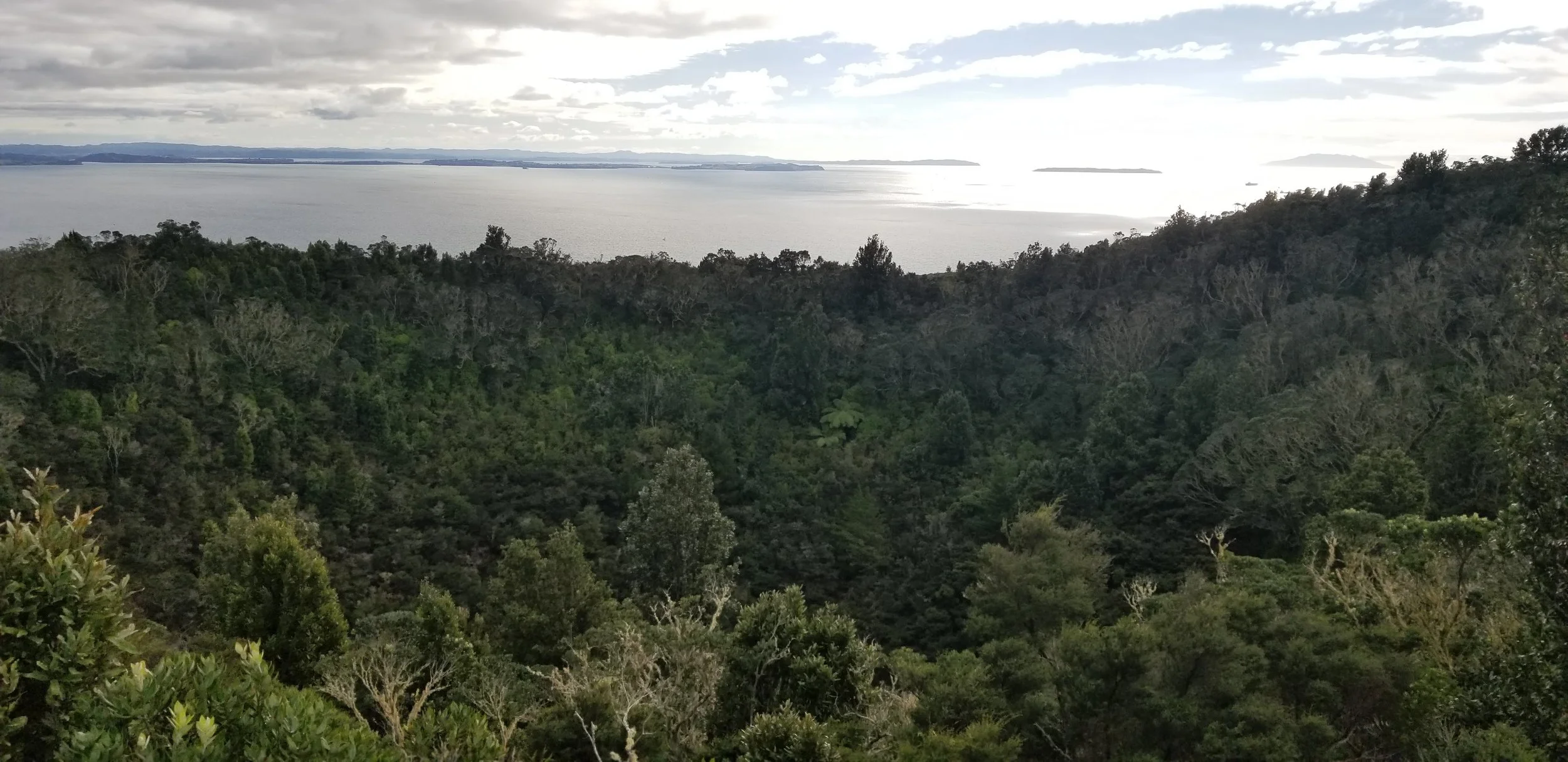 Rangitoto summit, looking across the mouth of the now-dormant volcano