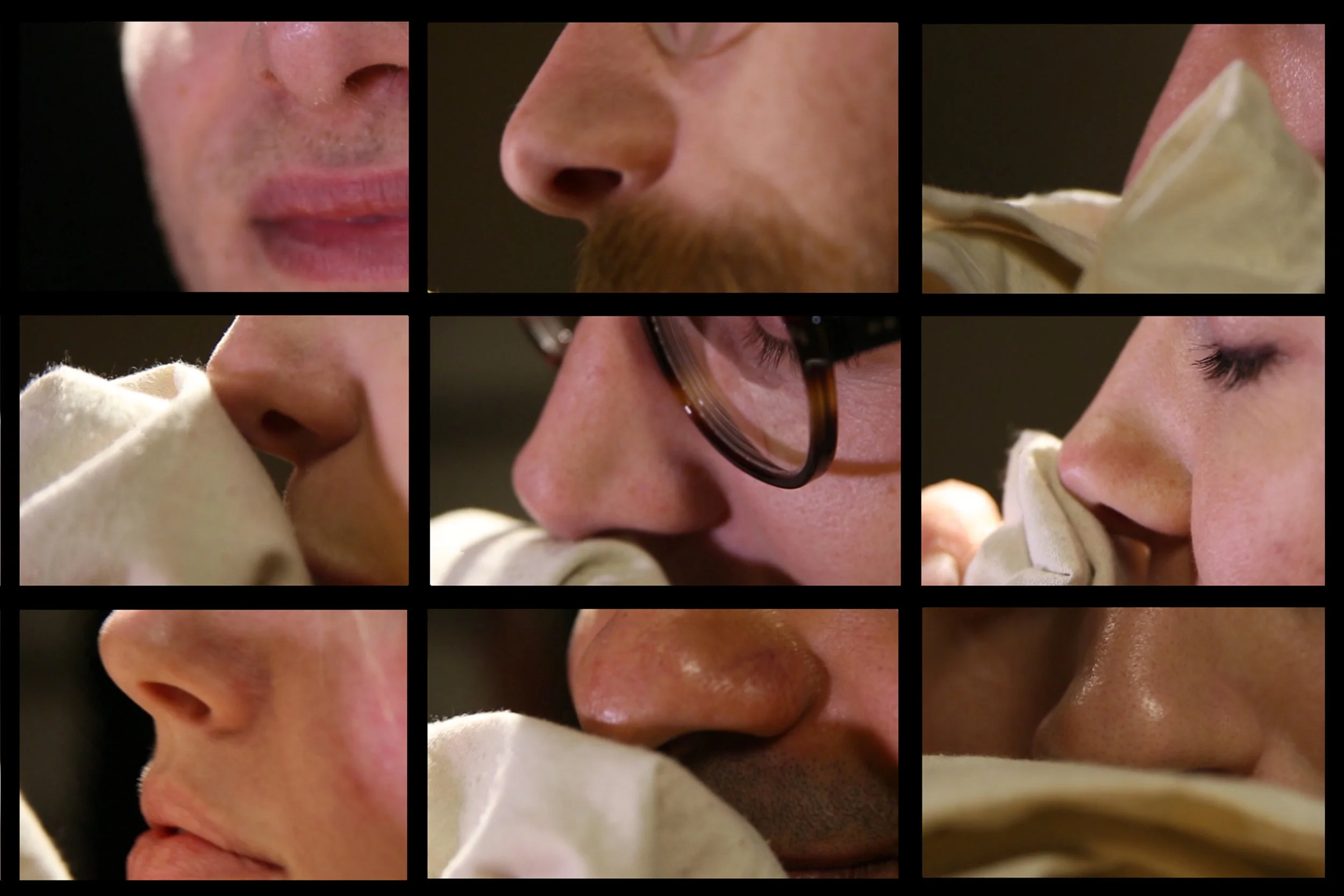 noses-3x2.jpg