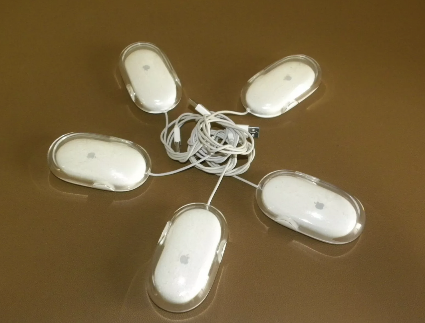 Computer Mouse Conference