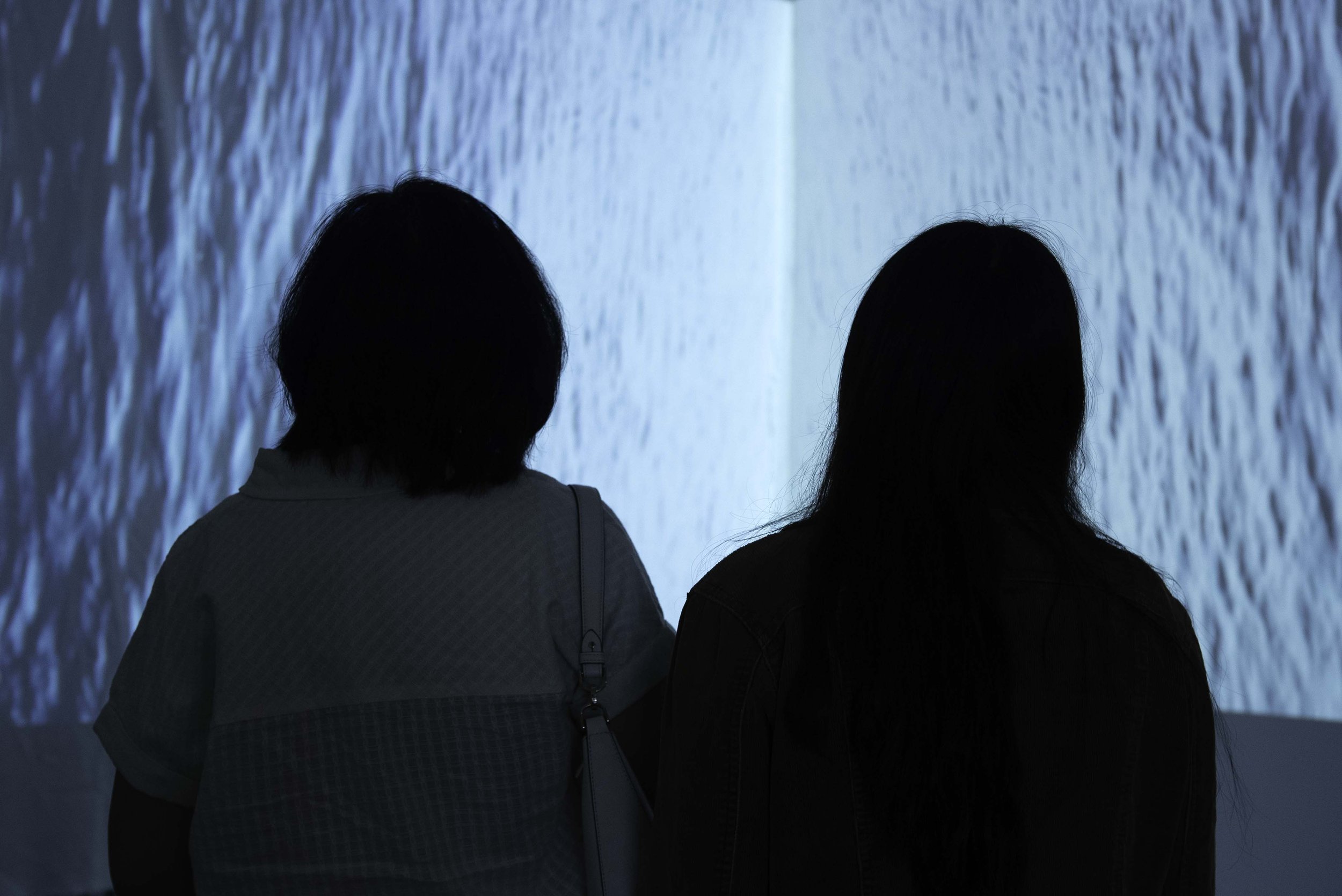 Symbiosis: Sculpting the Art of Living Together