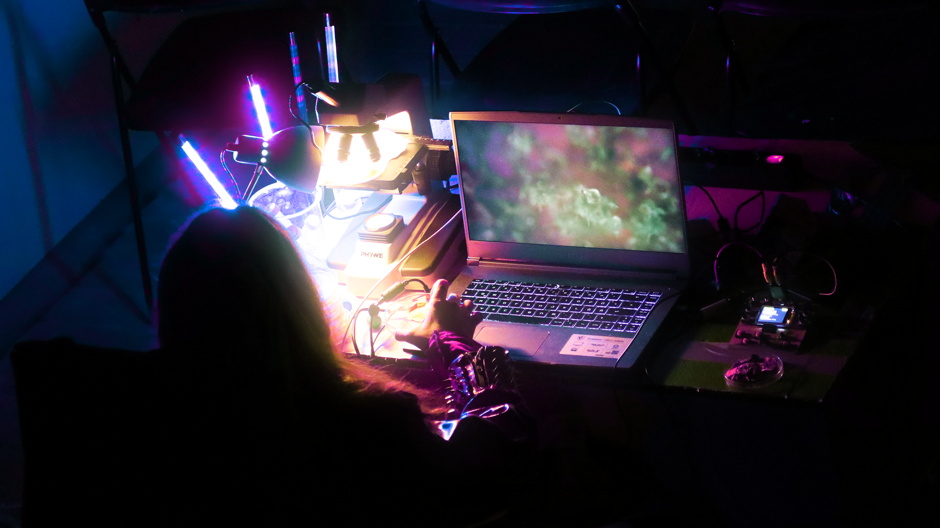 Re–Fest | PRI.MOR.DI.AI