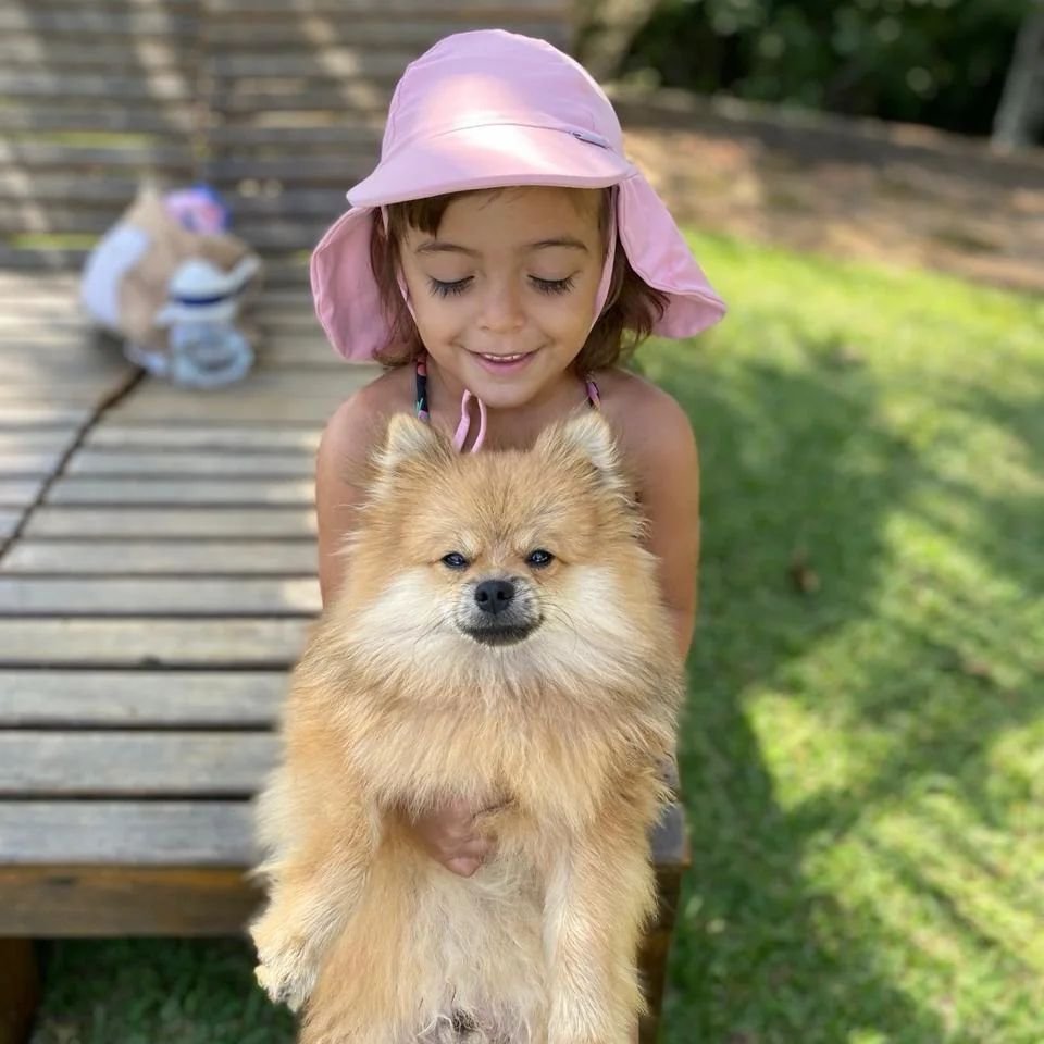 Hoje o nosso cachorrinho T&oacute;fi sumiu aqui da fazenda onde moramos (Fazenda Santa Esther/Fazenda C&oacute;smica).

Achamos que ele seguiu algum carro at&eacute; a entrada da fazenda na Rodovia SP360, na altura do km 124.3, em frente da Fazenda d