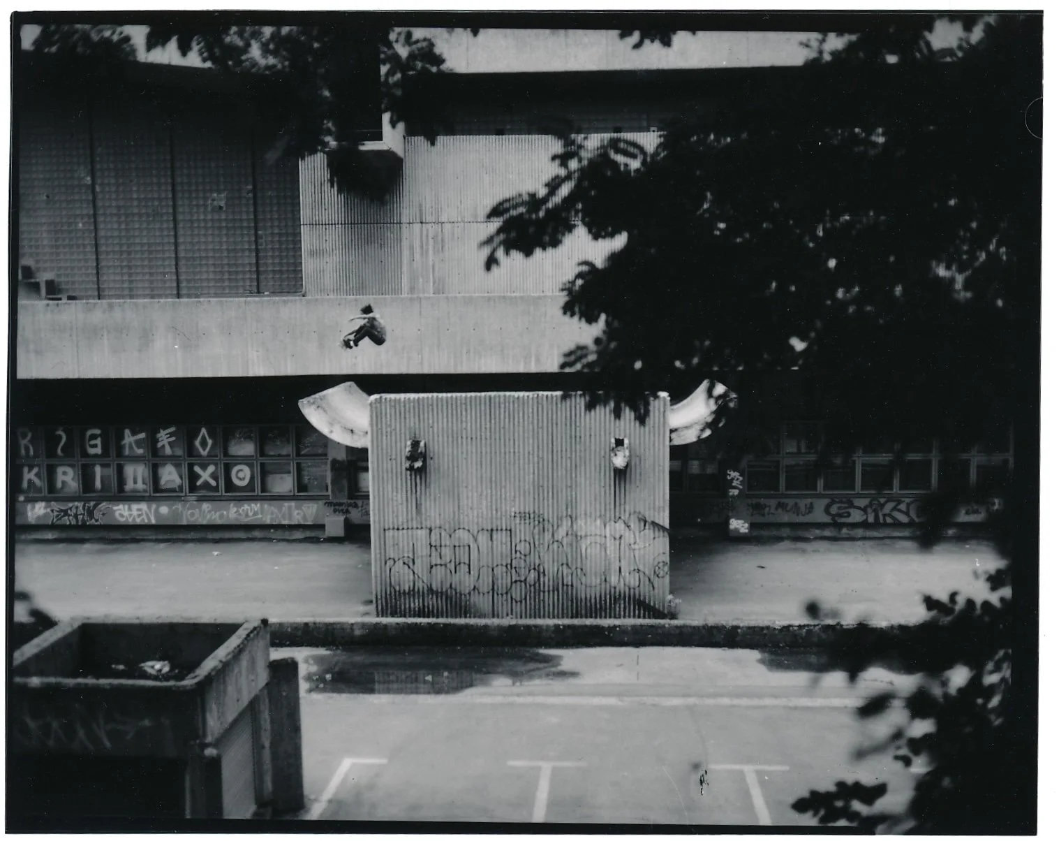 Dave_s Image - 1.jpeg