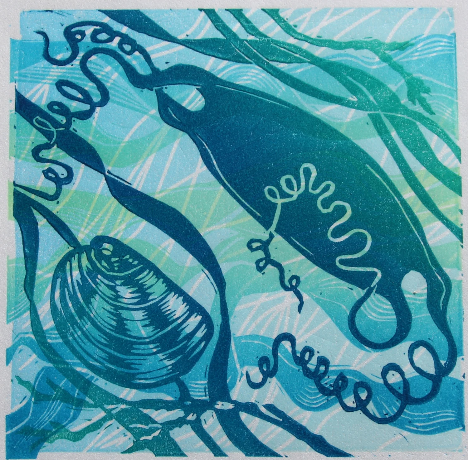 'Mermaid's Purse'
