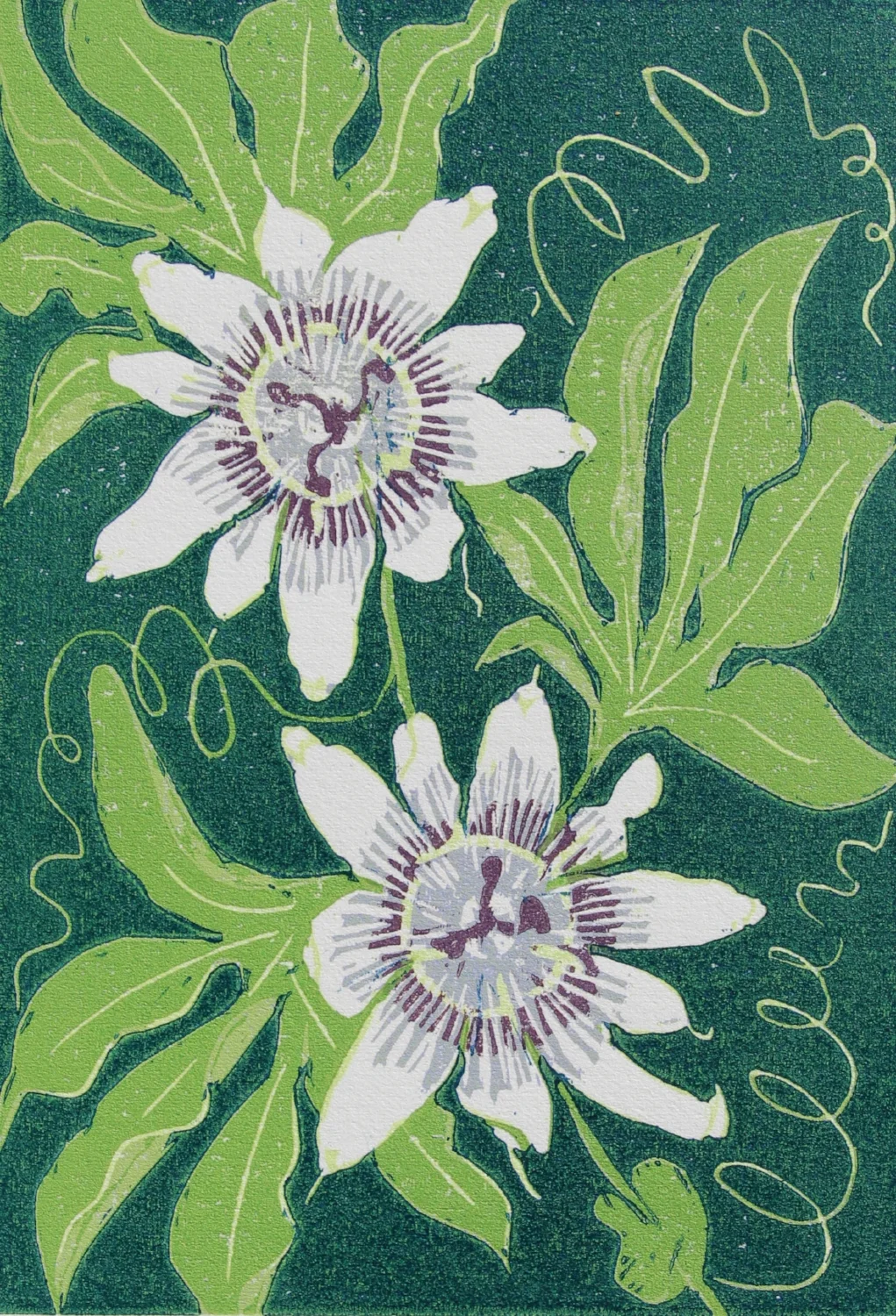 'Passionflower'
