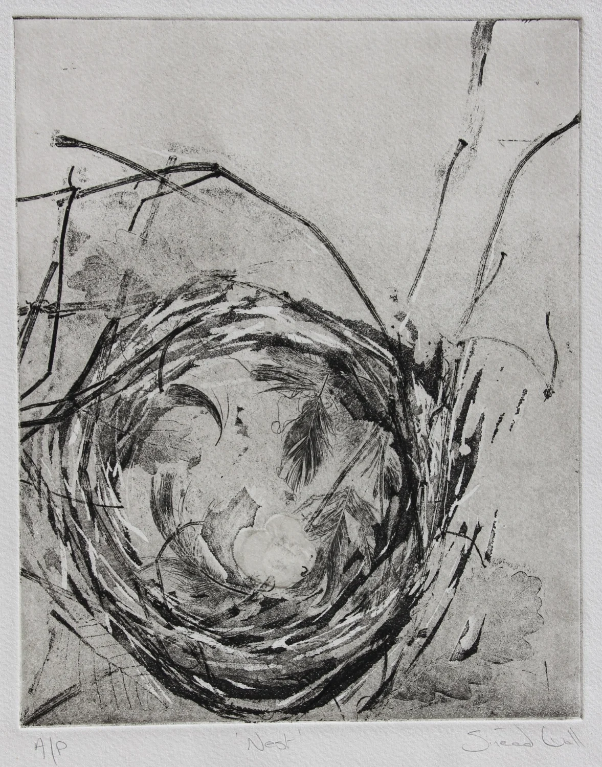 'Nest'