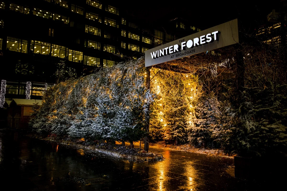 Discover Spectacular Party Tents In Winter Katah Events Giant