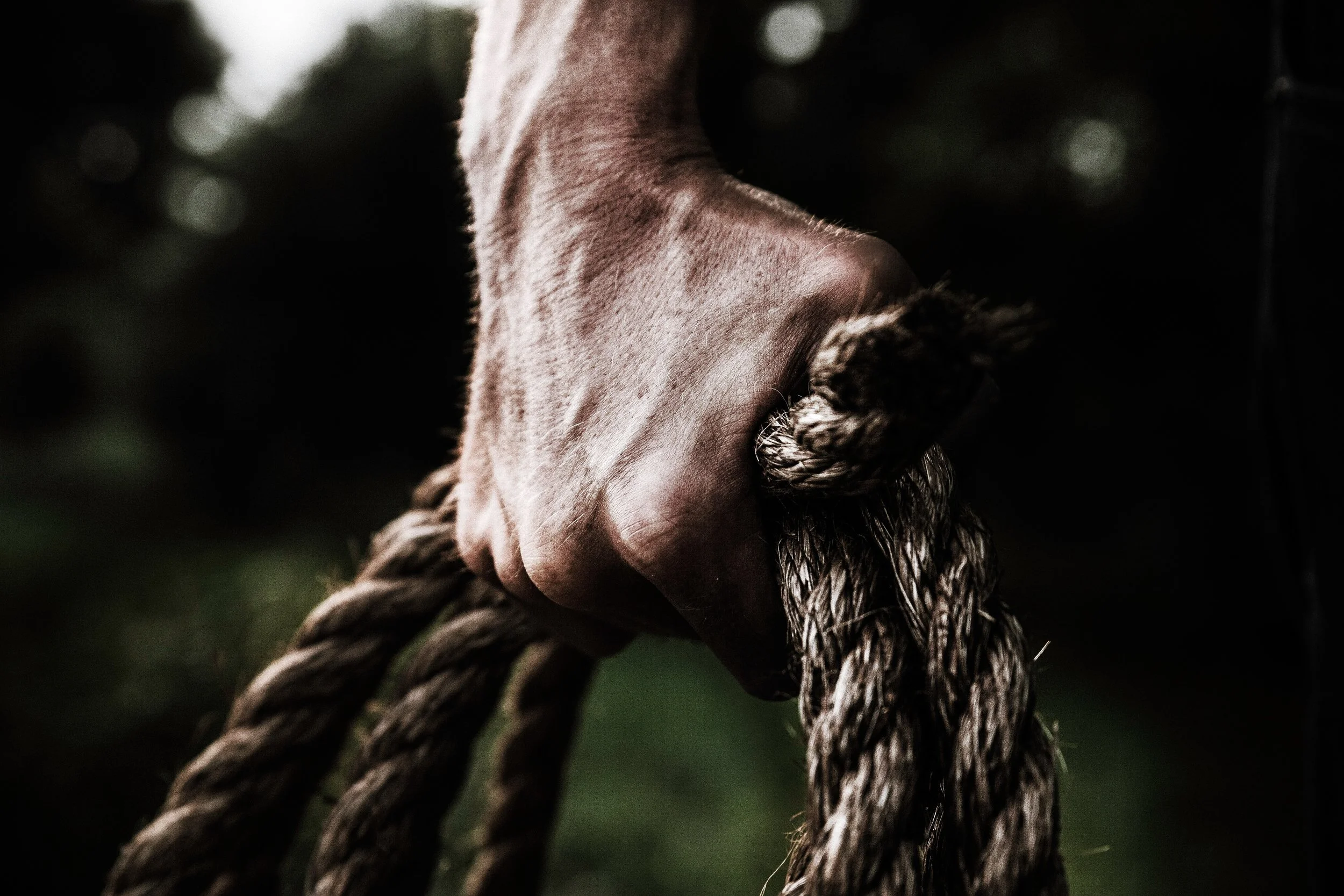 close-up-dark-hand-1458696.jpg