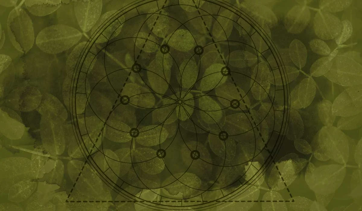chrissy_sacred-geometry_quote-2.jpg