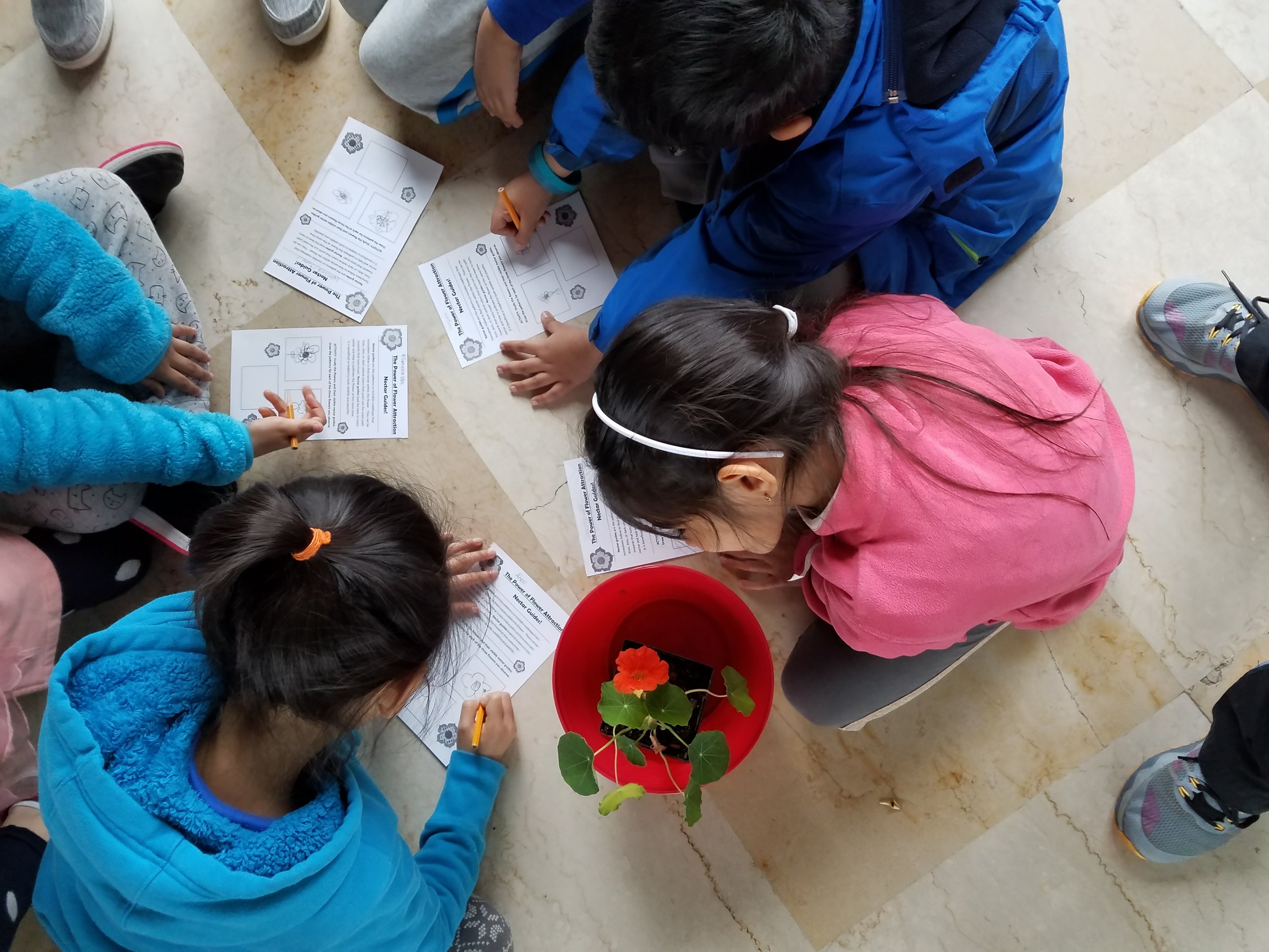 Education — Old Westbury Gardens