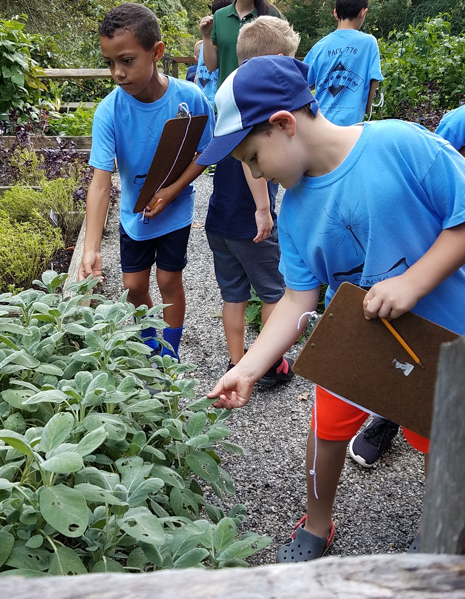 Education — Old Westbury Gardens Education — Old Westbury Gardens