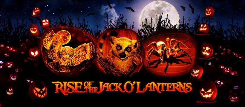 FB Cover Photo_Creepy Critters.jpg