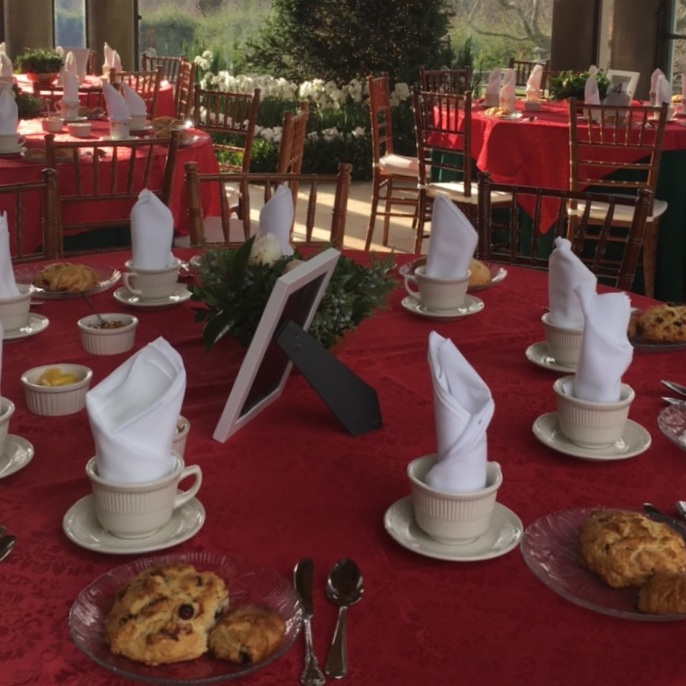 SOLD OUT! Cream Tea and Tour