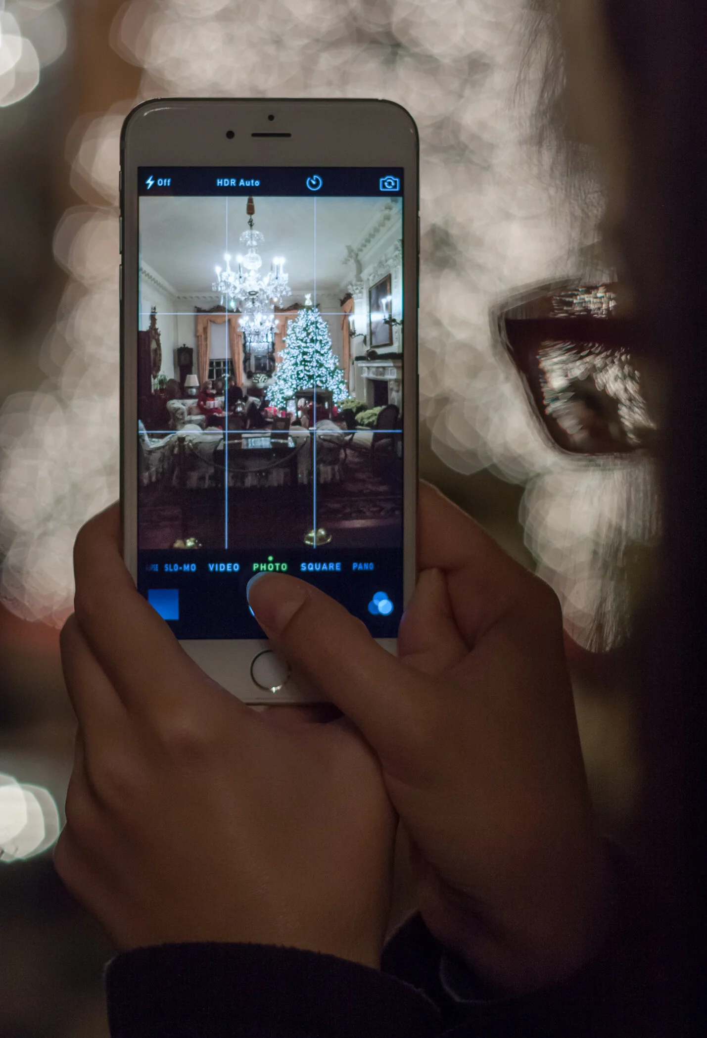 Westbury House Christmas — Old Westbury Gardens