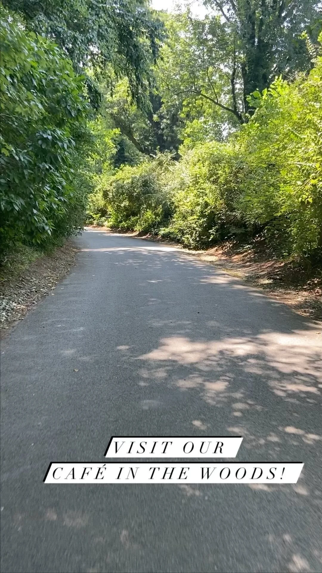 Old Westbury Gardens