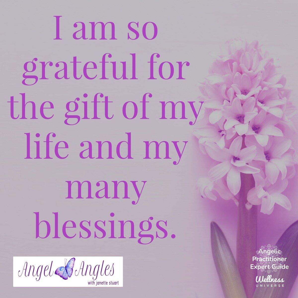 Hello, dear heart, and welcome to your Angel Affirmation for Wed. Mar. 27, 2024. 

I am so grateful for the gift of my life and my many blessings. Yes! Amen, and so it is. 

Blessings of love, joy, and peace.
Love,
Janette 
.
.
#WUVIP #WUWorldChanger