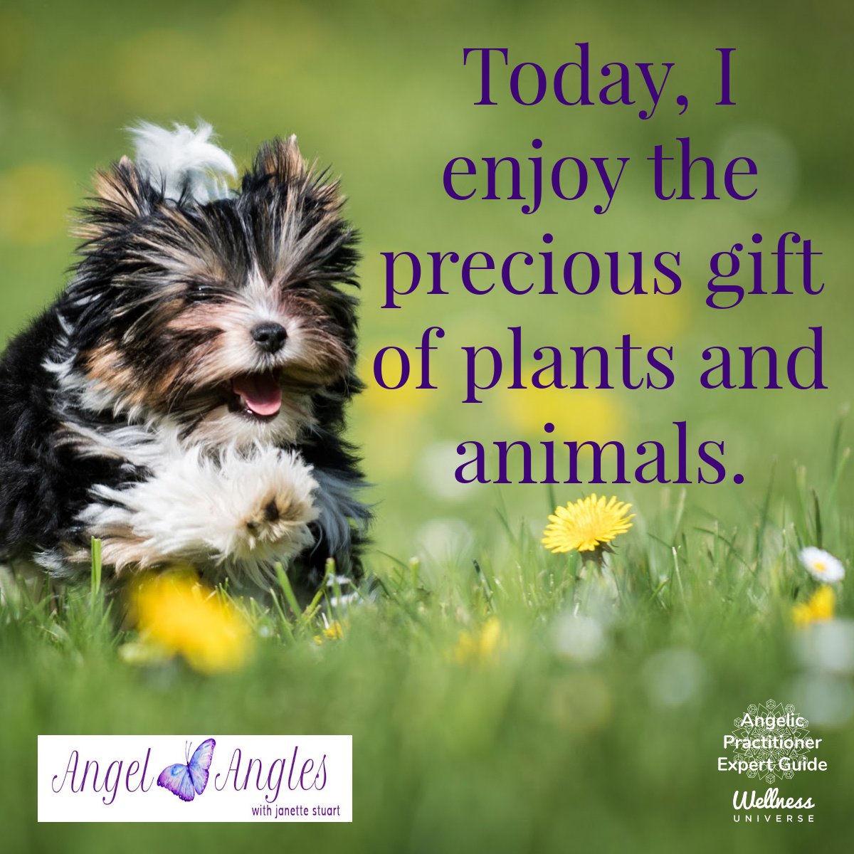 Hello and welcome to your Angel Affirmation for Sat. Apr. 13, 2024. 

Today, I enjoy the precious gift of plants and animals. Amen, and so it is. 

Blessings of love, joy, and peace.
Love,
Janette 
.
.
#WUVIP #WUWorldChanger #AngelAffirmations #Plant