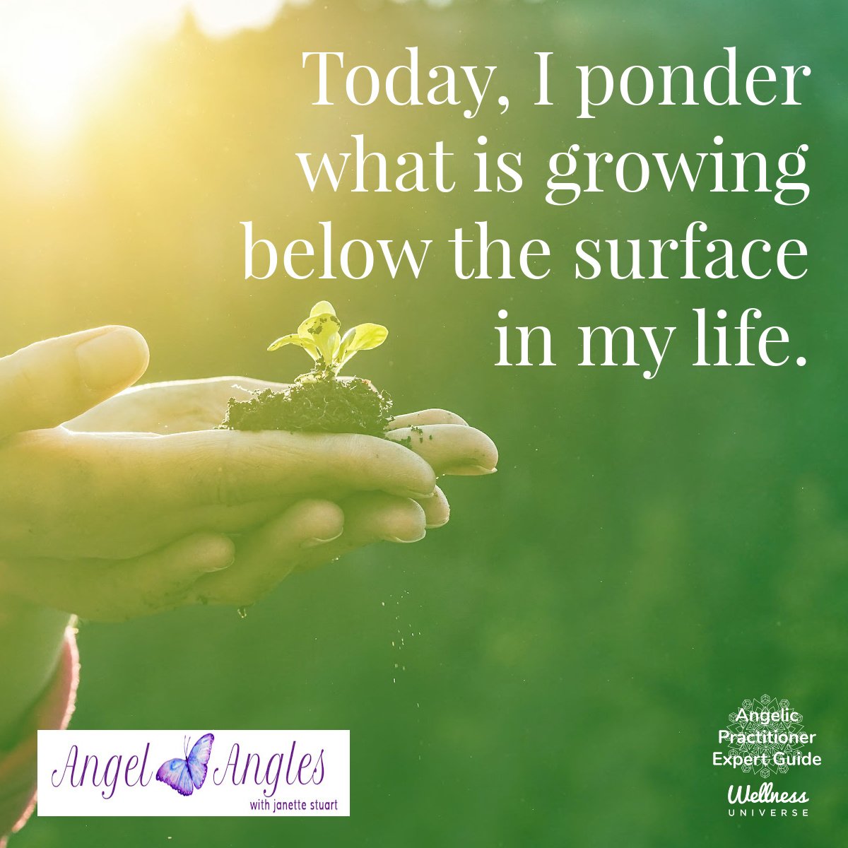 Hello and welcome to your Angel Affirmation for Mon. Apr. 15, 2024. 

Today, I ponder what is growing below the surface in my life. What is seeking to be born through me? 

Blessings of love, joy, and peace.
Love,
Janette 
.
.
#WUVIP #WUWorldChanger 