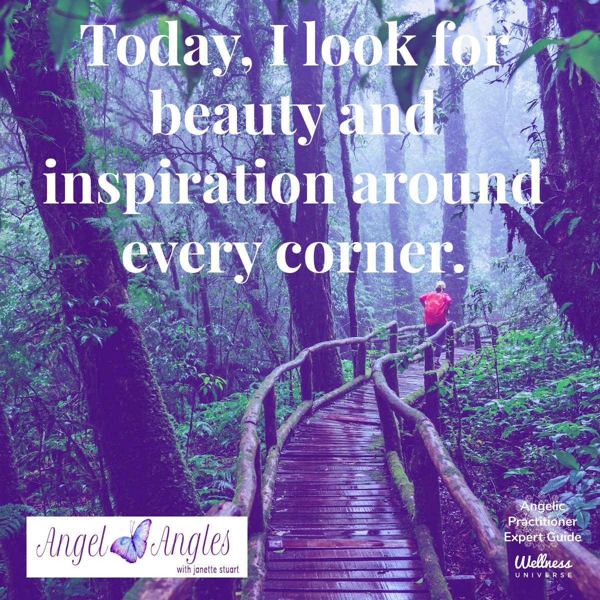 Hello and welcome to your Angel Affirmation for Thurs. May 2, 2024. 

Today, I look for beauty and inspiration around every corner. Yes! Amen, and so it is. 

Blessings of love, joy, and peace.
Love,
Janette 
.
.
#WUVIP #WUWorldChanger #AngelAffirmat