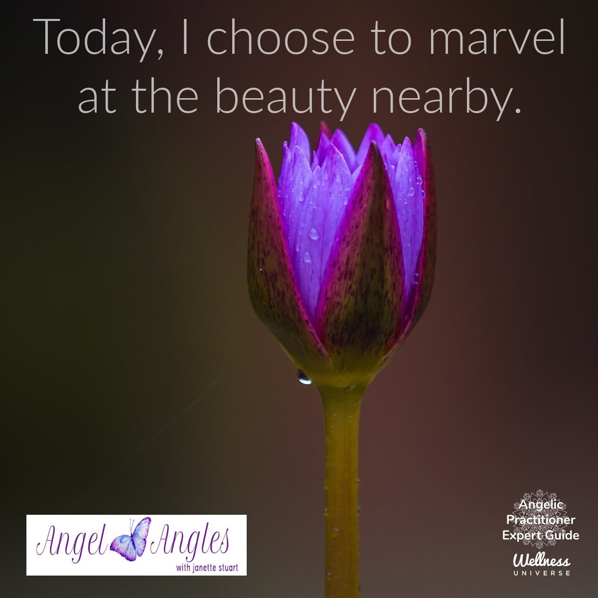 Hello and welcome to your Angel Affirmation for Wed. May 8, 2024. 

Today, I choose to marvel at the beauty nearby. Yes! Amen, and so it is. 

Another favorite of @Barbara Bustard, Author 

Blessings of love, joy, and peace.
Love,
Janette 
.
.
#WUVIP