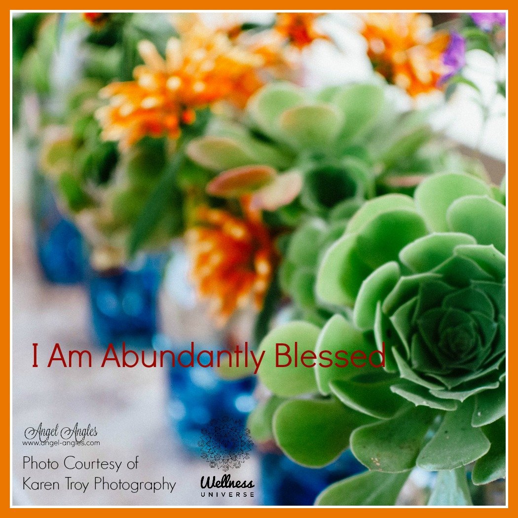 Repeat after me, &quot;I Am Abundantly Blessed.&quot; Amen, and so it is. 

The words you say after &quot;I AM&quot; are particularly potent affirmations. 

Photo Courtesy of Karen Troy Photography 

Blessings of love, joy, and peace.
Love,
Janette 
