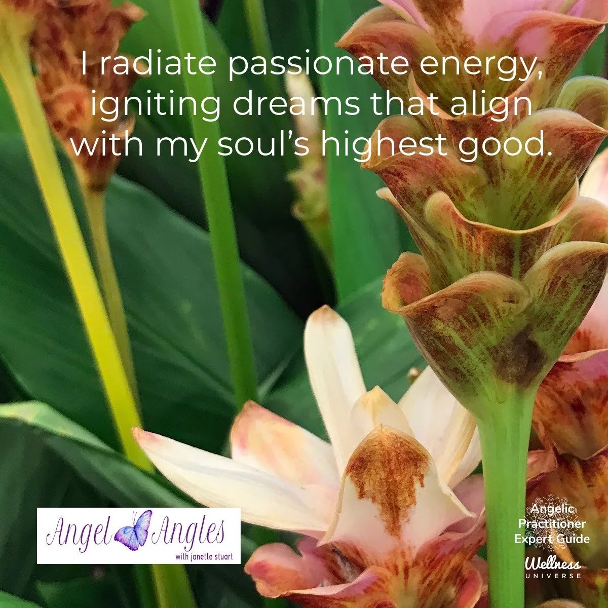 Hello and welcome to your Angel Affirmation for Thursday, August 7, 2025. 

I radiate passionate energy, igniting dreams that align with my soul's highest good. 

Blessings of love, joy, and peace.
Love,
Janette 
.
.
#WUVIP #WUWorldChanger #Passion #
