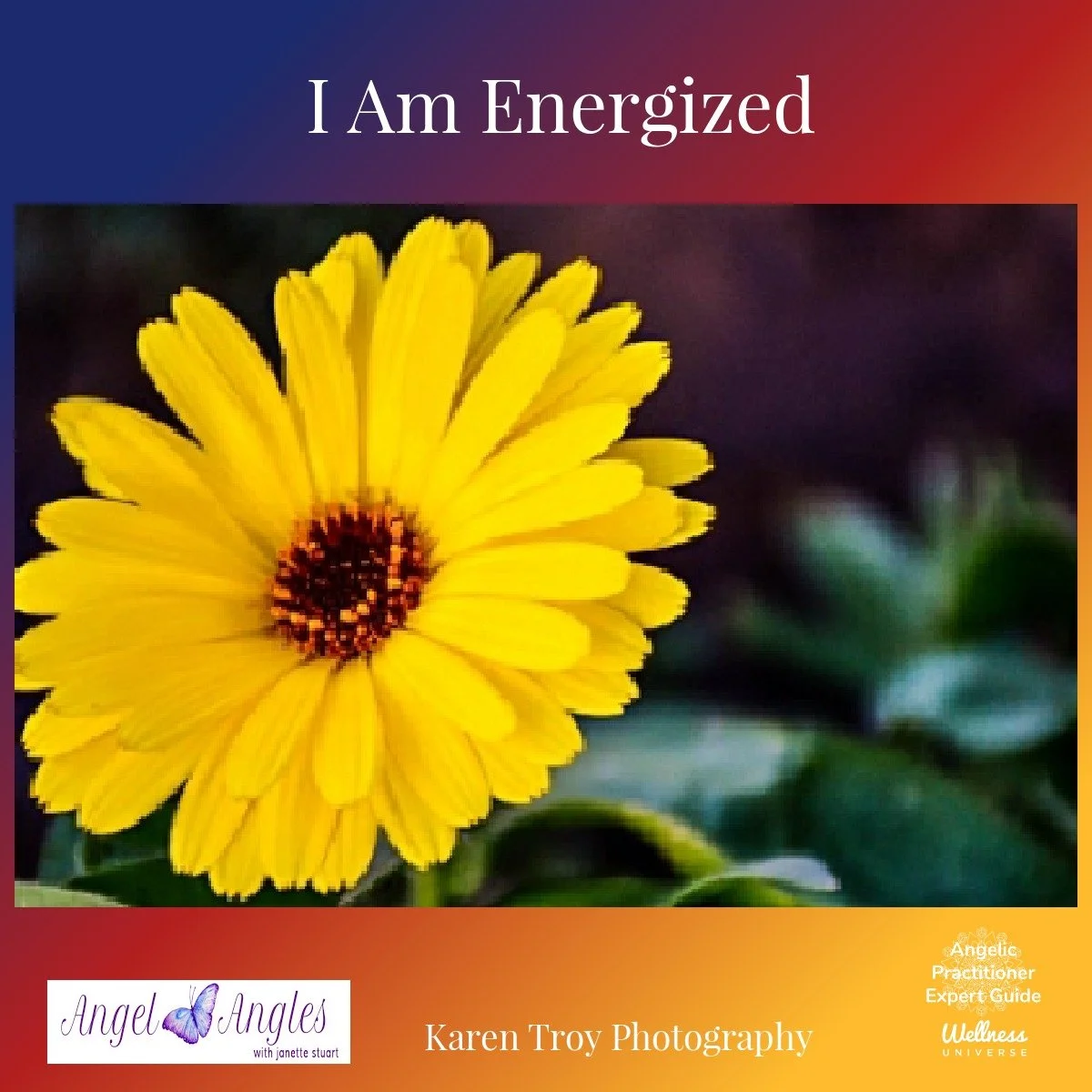 Day 8 &ndash; I Am Energized 

When we are in alignment with God, our Source, we have the powerful energy of all of creation flowing to us and through us.  When we resist this beautiful life force energy, we pinch off the vitality that is our birthri