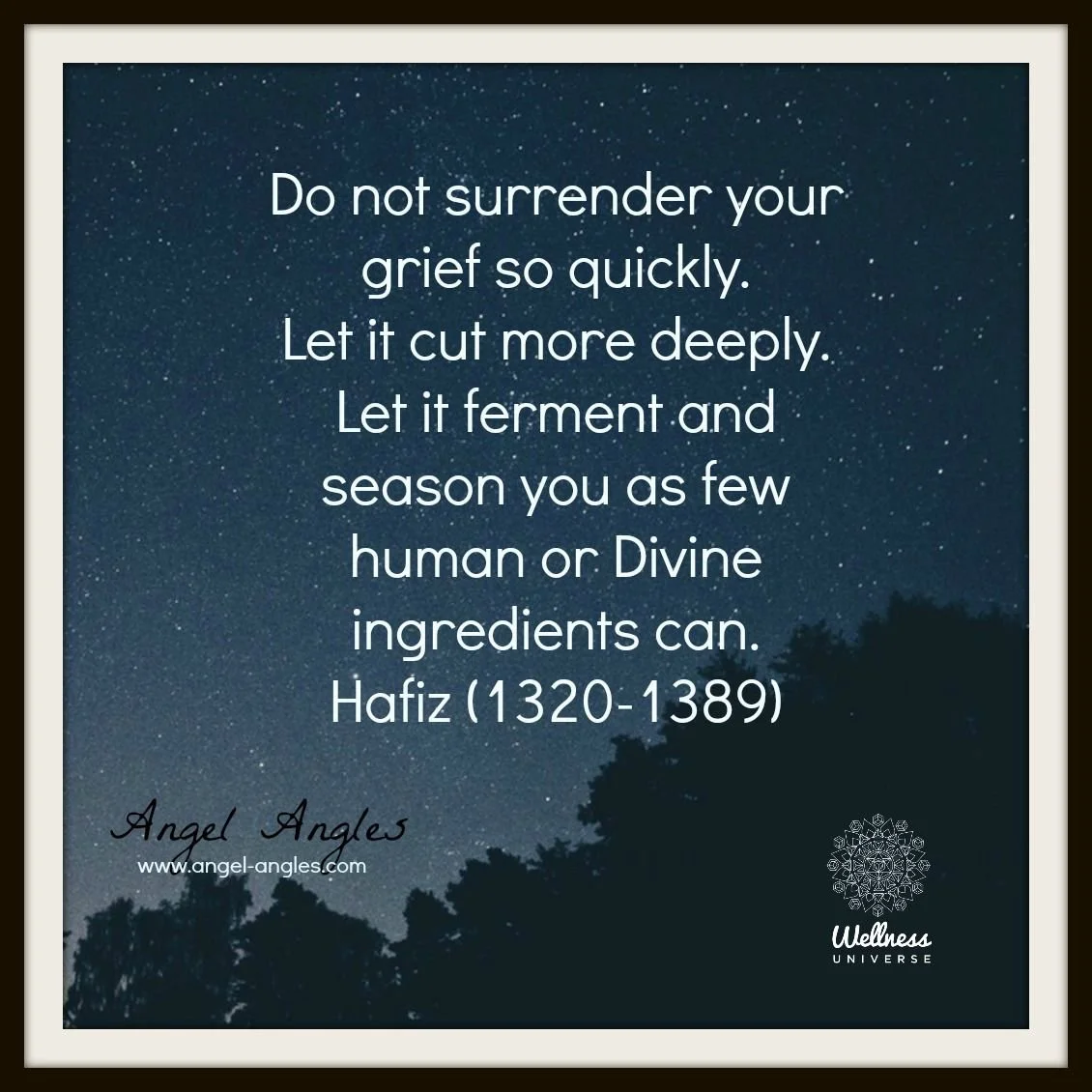 A brilliant quote about grief by the ancient poet Hafiz. He encourages us to not rush the process, to feel it, to marinade in it, and let it season us. 

So often we think there is a timeline to grief. There is not. Don't rush yourself by thinking, &