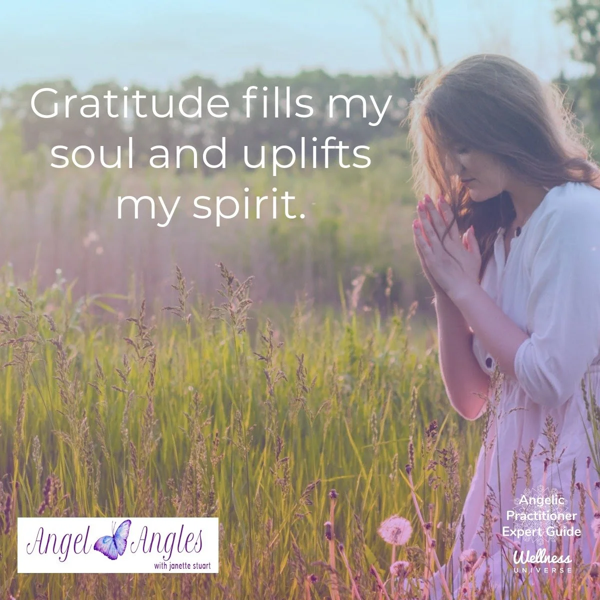 Hello and welcome to your Angel Affirmation for Wed. Nov. 19, 2025. 

Gratitude fills my soul and uplifts my spirit. 

Blessings of love, joy, and peace.
Love,
Janette 
.
.
#WUVIP #WUWorldChanger #gratitude #AngelAffirmations