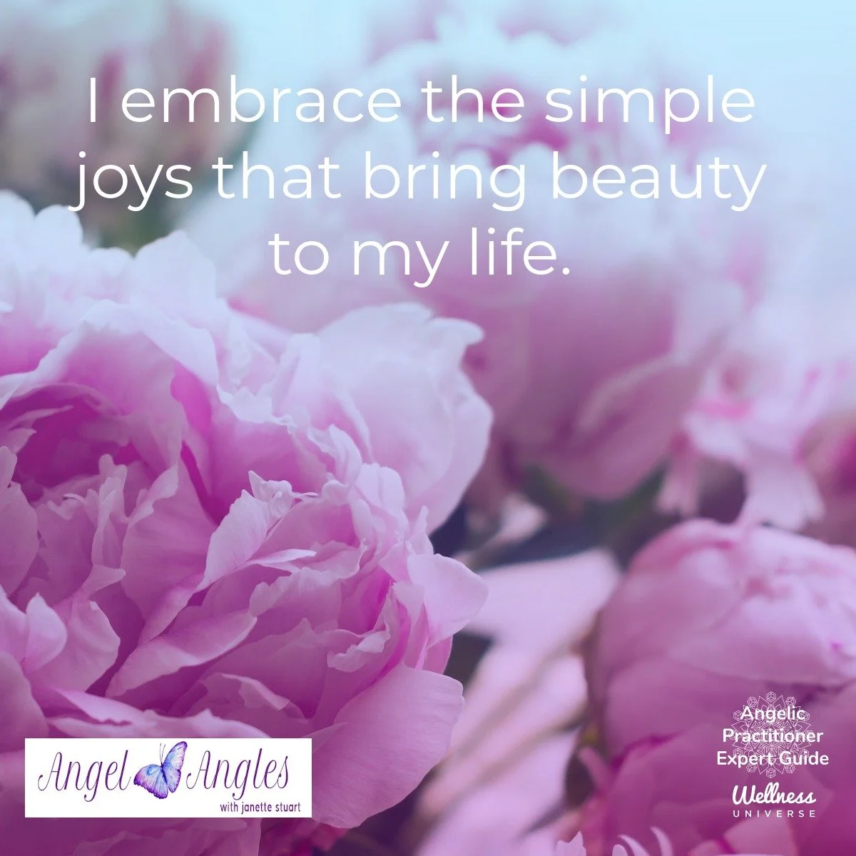 Hello and welcome to your Angel Affirmation for Thursday, Nov. 20, 2025. 

I embrace the simple joys that bring beauty to my life. 

Blessings of love, joy, and peace. 
Love,
Janette 
.
.
#WUVIP #WUWorldChanger #Gratitude #AngelAffirmations