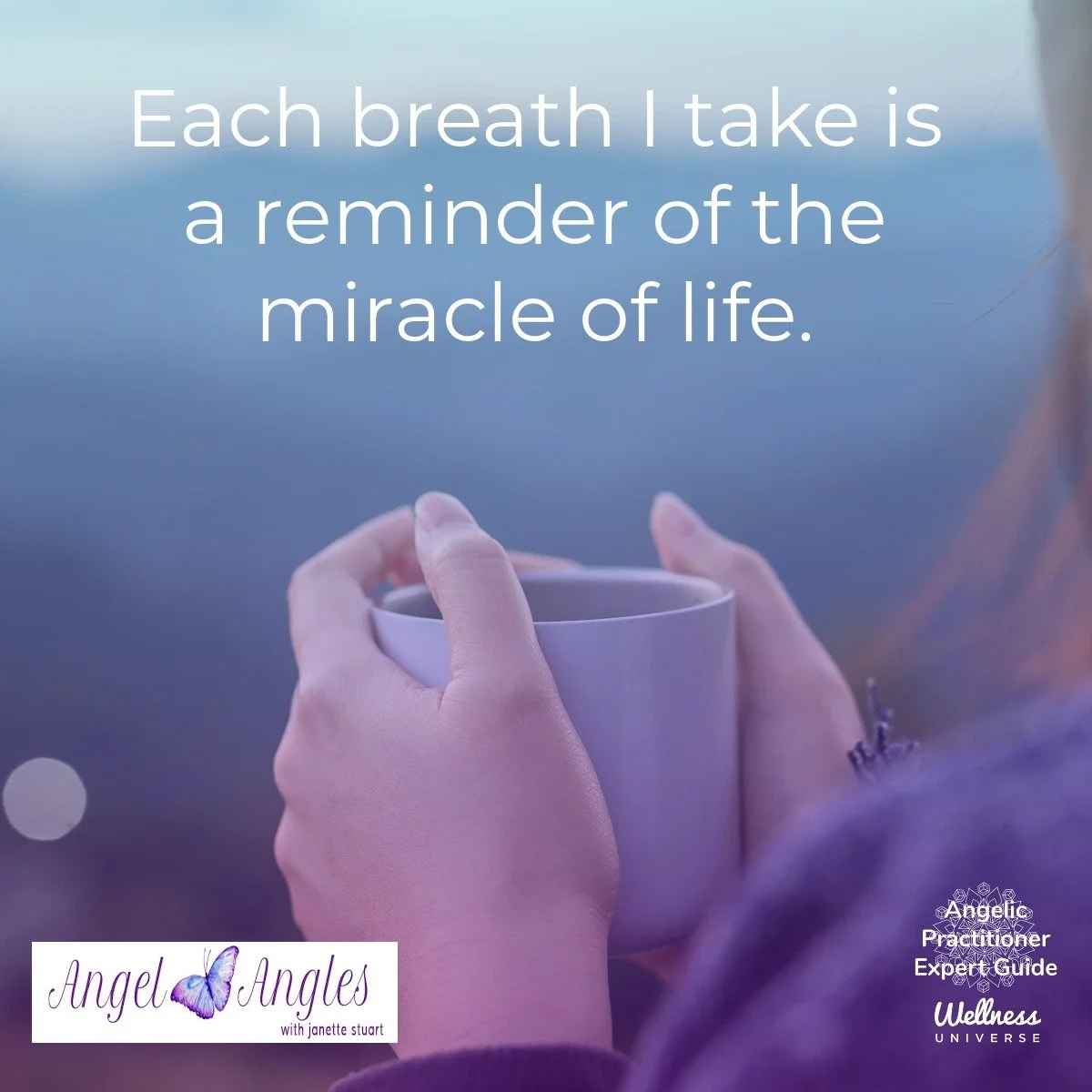 Hello and happy Friday, Nov. 21, 2025. Here's your Angel Affirmation of the Day. 

Each breath I take is a reminder of the miracle of life. 

Yes, amen, and so it is. 

Blessings of love, joy, and peace.
Love,
Janette 
.
.
#WUVIP #WUWorldChanger #Ang