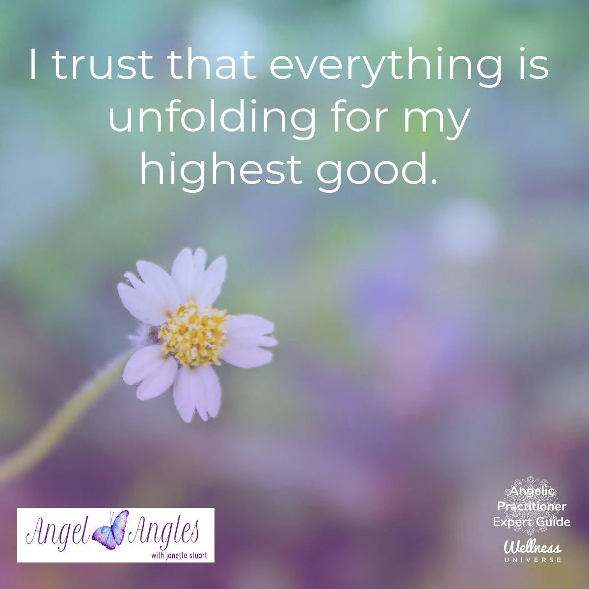 Repeat after me...I trust that everything is unfolding for my highest good. 

Amen, and so it is. 

Your Angel Affirmation for Saturday, Nov. 22, 2025. 

Blessings of love, joy, and peace. 
Love,
Janette 
.
.
#WUVIP #WUWorldChanger #Gratitude #AngelA
