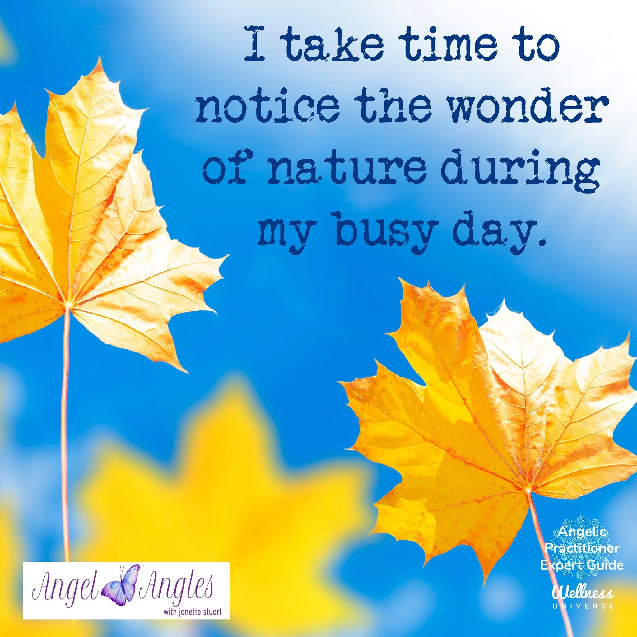 My sister and I were out for a walk yesterday after a big rain storm and it was a glorious cloud free sky with bright sunshine and felt so fresh. The fallen damp leaves smelled wonderful. 

We were taking the time to notice the wonder of nature. May 