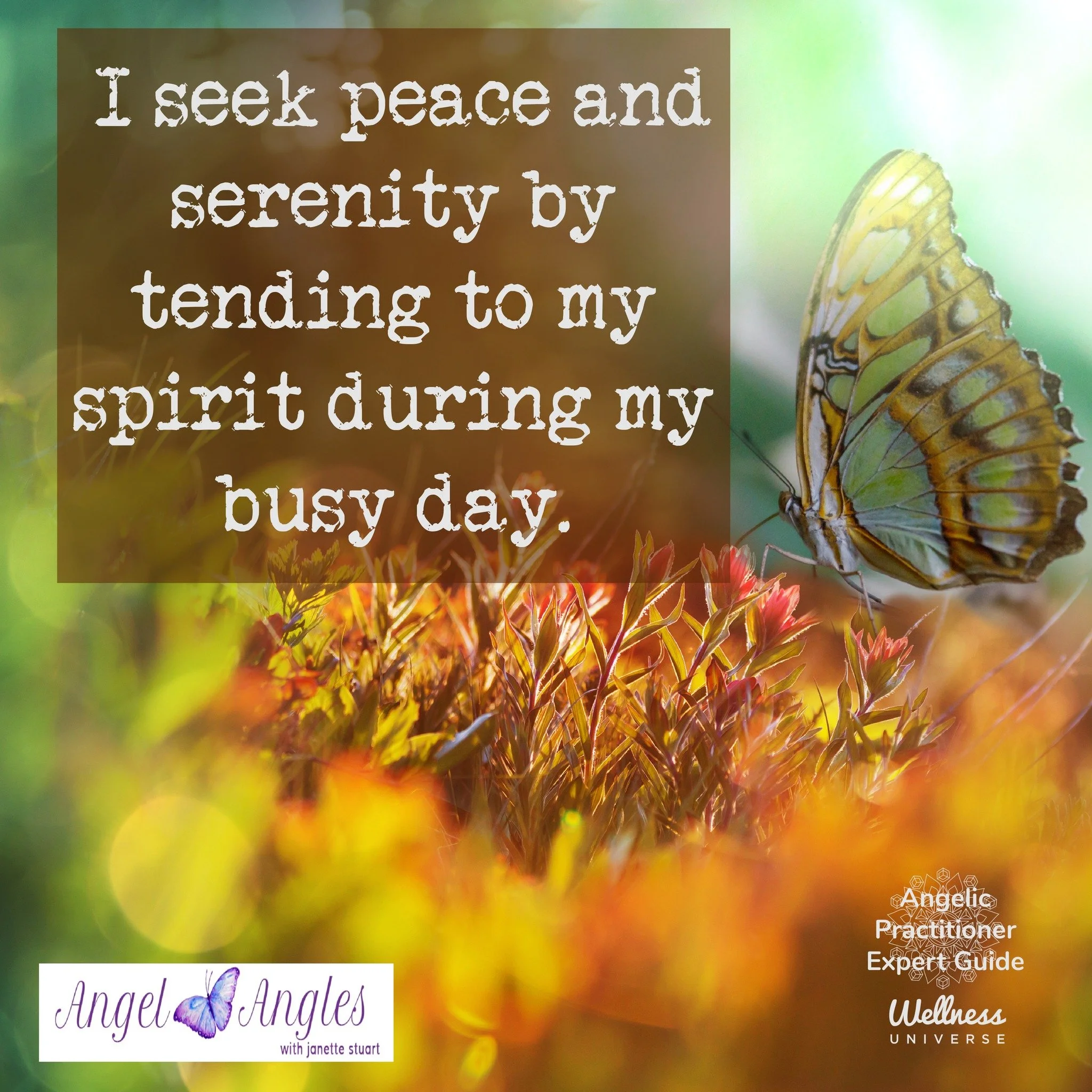 Sunday is a great day to tend to yourself. Happy Self-Care Sunday. 

Blessings of love, joy, and peace.
Love,
Janette 
.
.
#WUVIP #WUWorldChanger #SelfCare #Serenity