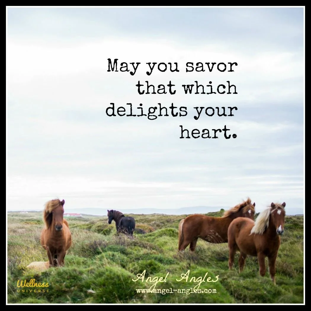 My word of the year is savor, so each day, I'm focusing on savoring something in my day. 

It could be a tasty treat, a wonderful experience or sensation. 

May you savor that which delights your heart today, dear one. 

Blessings of love, joy, and p