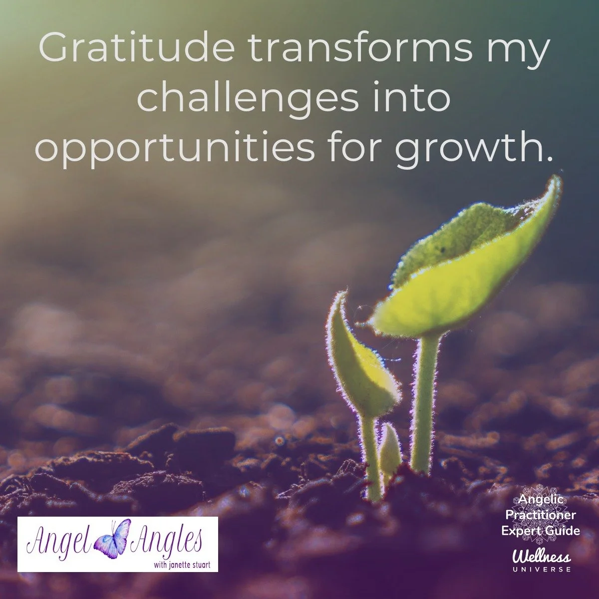 Hello and welcome to your Angel Affirmation for Wed. Nov. 26, 2025. 

Gratitude transforms my challenges into opportunities for growth. 

Blessings of love, joy, and peace.
Love,
Janette 
.
.
#WUVIP #WUWorldChanger #Gratitude #AngelAffirmations