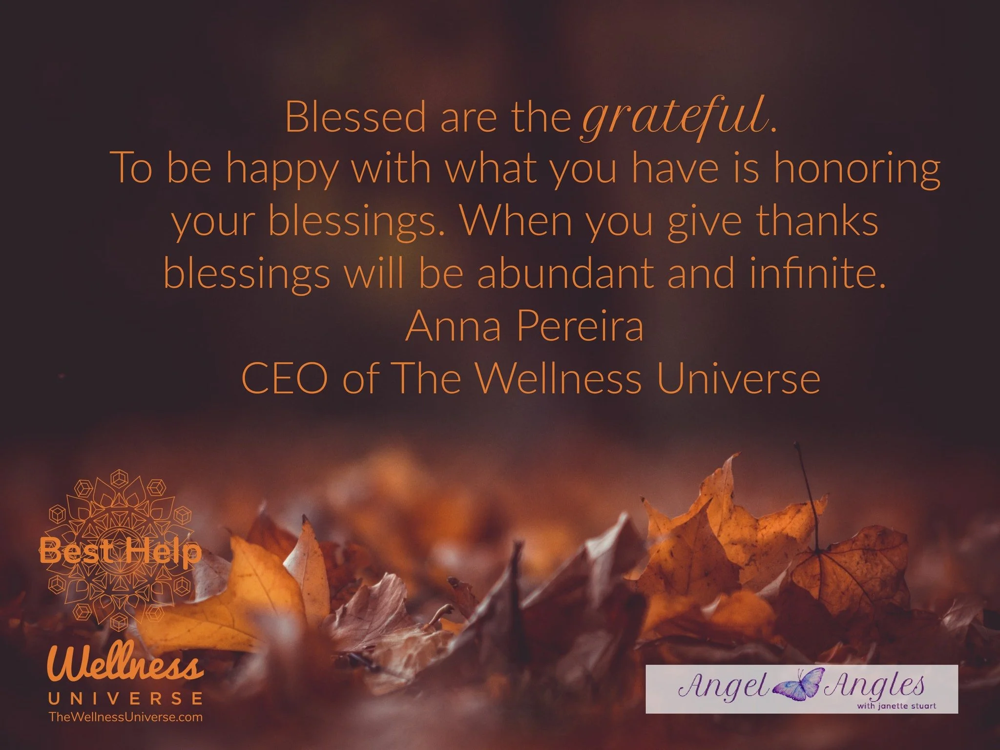 &quot;Blessed are the grateful. To be happy with what you have is honoring your blessings. When you give thanks blessings will be abundant and infinite.&quot;
Anna Pereira CEO of The Wellness Universe 

Blessings of love, joy, and peace. Thank you fo