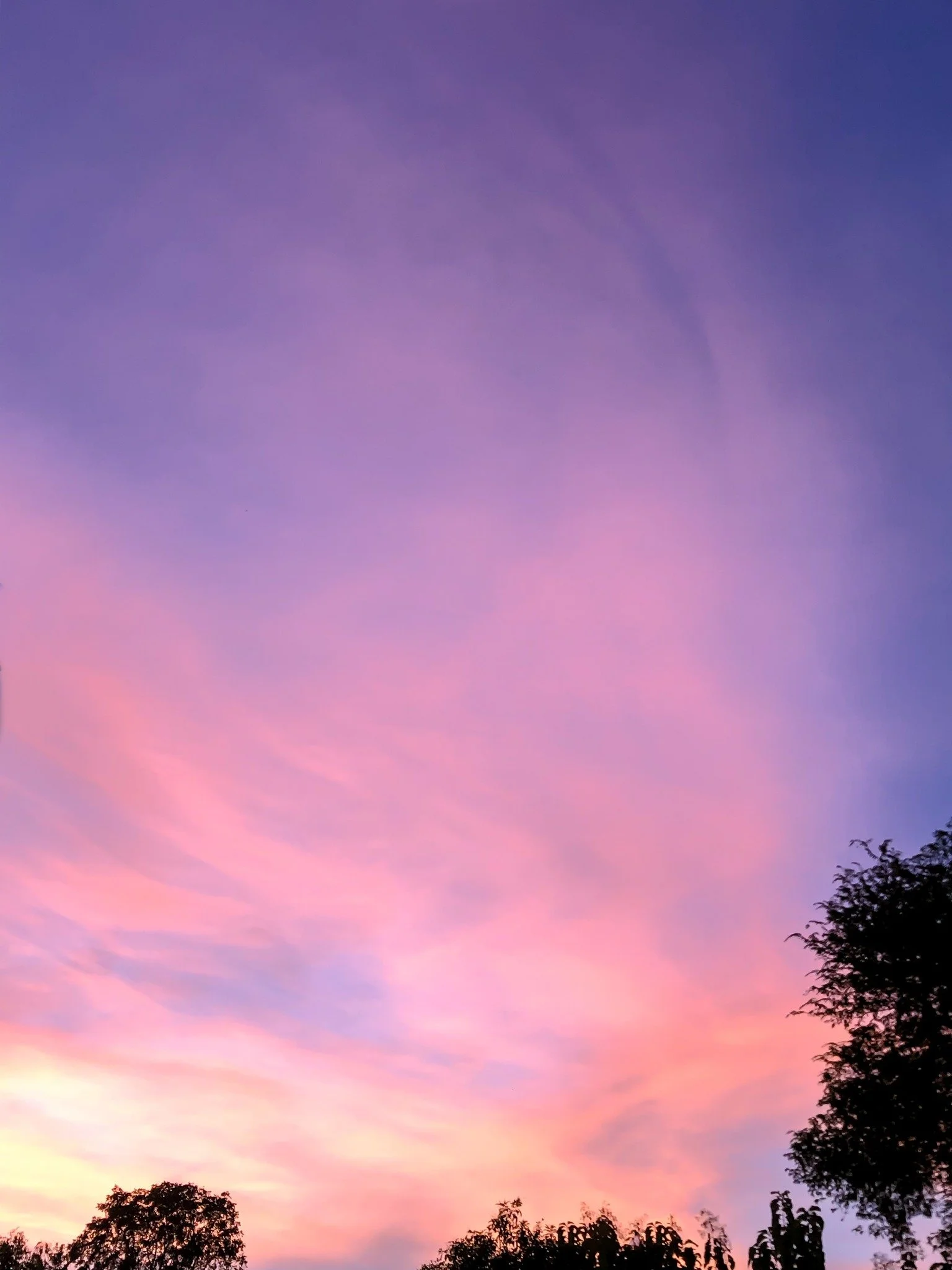 Last night, while I was cleaning up after dinner, I glanced out the window and caught the most beautiful sunset. This time of year the sun settles way down along the southern horizon, and it put on such a gorgeous show, right outside my kitchen windo