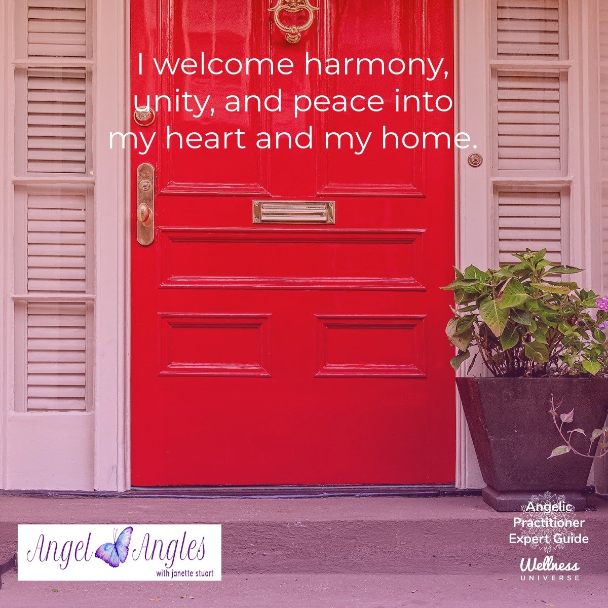 Hello and happy Wed. Dec. 10, 2025. Here's your Angel Affirmation of the Day. 

I welcome harmony, unity, and peace into my heart and my home. Yes, amen, and so it is. 

Blessings of love, joy, and peace.
Love,
Janette 
.
.
#WUVIP #WUWorldChanger #An