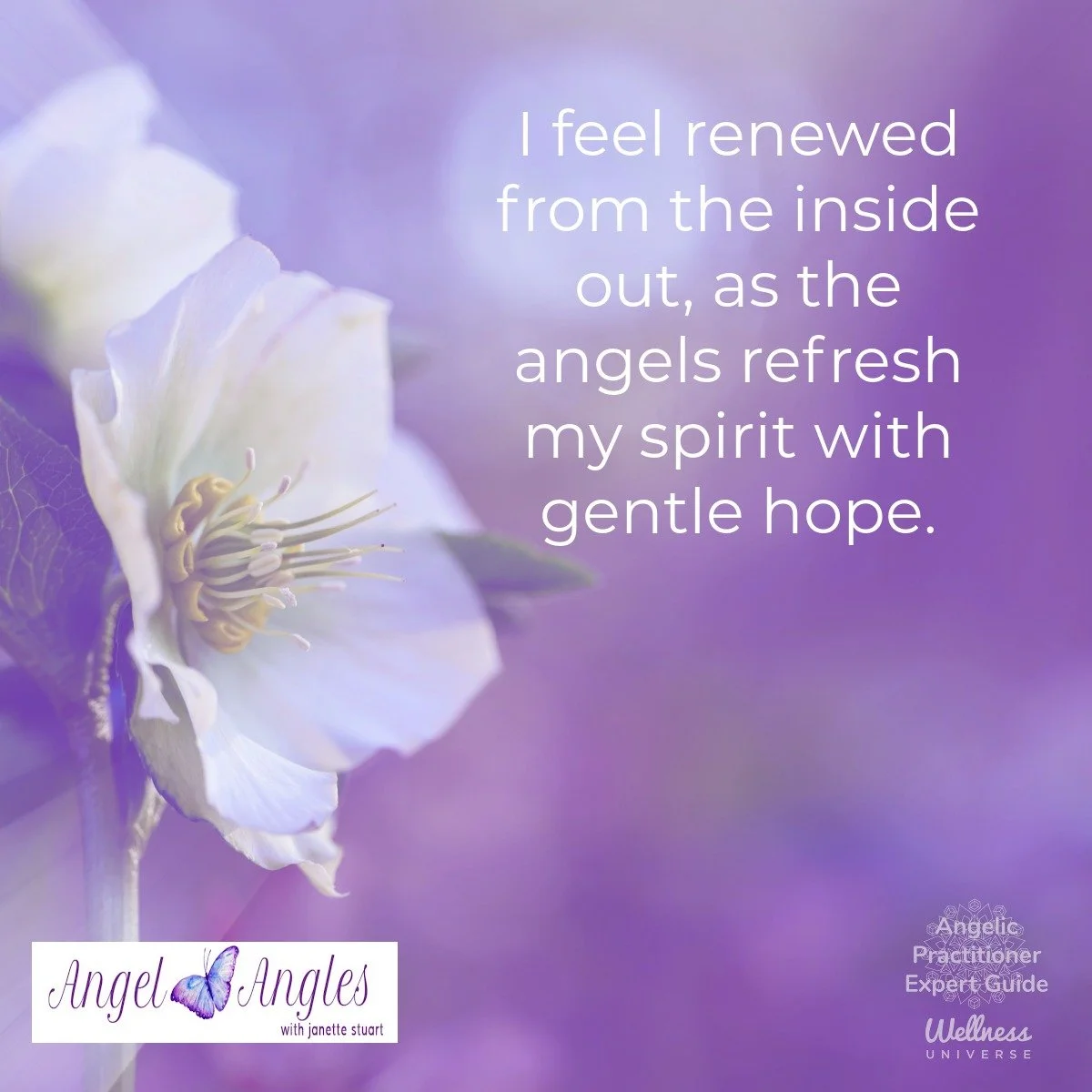 Hello and welcome to your Angel Affirmation for Friday, Jan. 16, 2026. 

I feel renewed from the inside out, as the angels refresh my spirit with gentle hope. 

Yes, feel the love. 

Blessings of love, joy, and peace.
Love,
Janette 
.
.
#WUVIP #WUWor