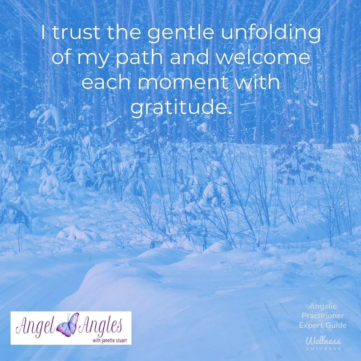 Hello and welcome to your Angel Affirmation for Monday, Jan. 26, 2026. 

I trust the gentle unfolding of my path and welcome each moment with gratitude. 

Blessings of love, joy, and peace.
Love,
Janette 
.
.
#WUVIP #WUWorldChanger #AngelAffirmations