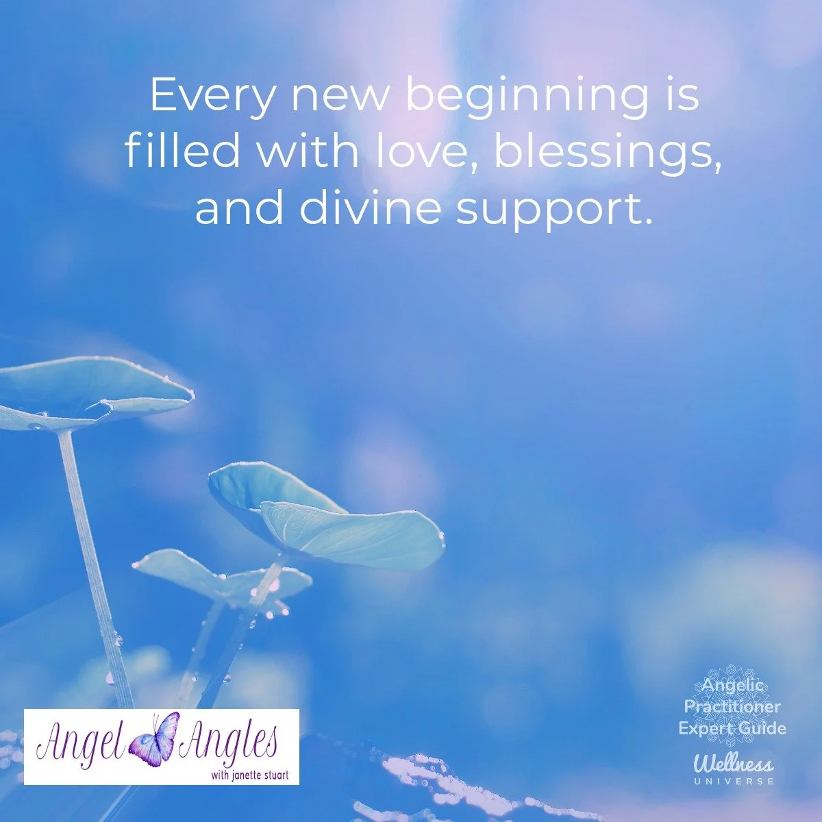 Hello and welcome to your Angel Affirmation for Wed. Jan. 28, 2026. 

Every new beginning is filled with love, blessings, and divine support. 

Amen, and so it is. 

Blessings of love, joy, and peace.
Love,
Janette 
.
.
#WUVIP #WUWorldChanger #AngelA