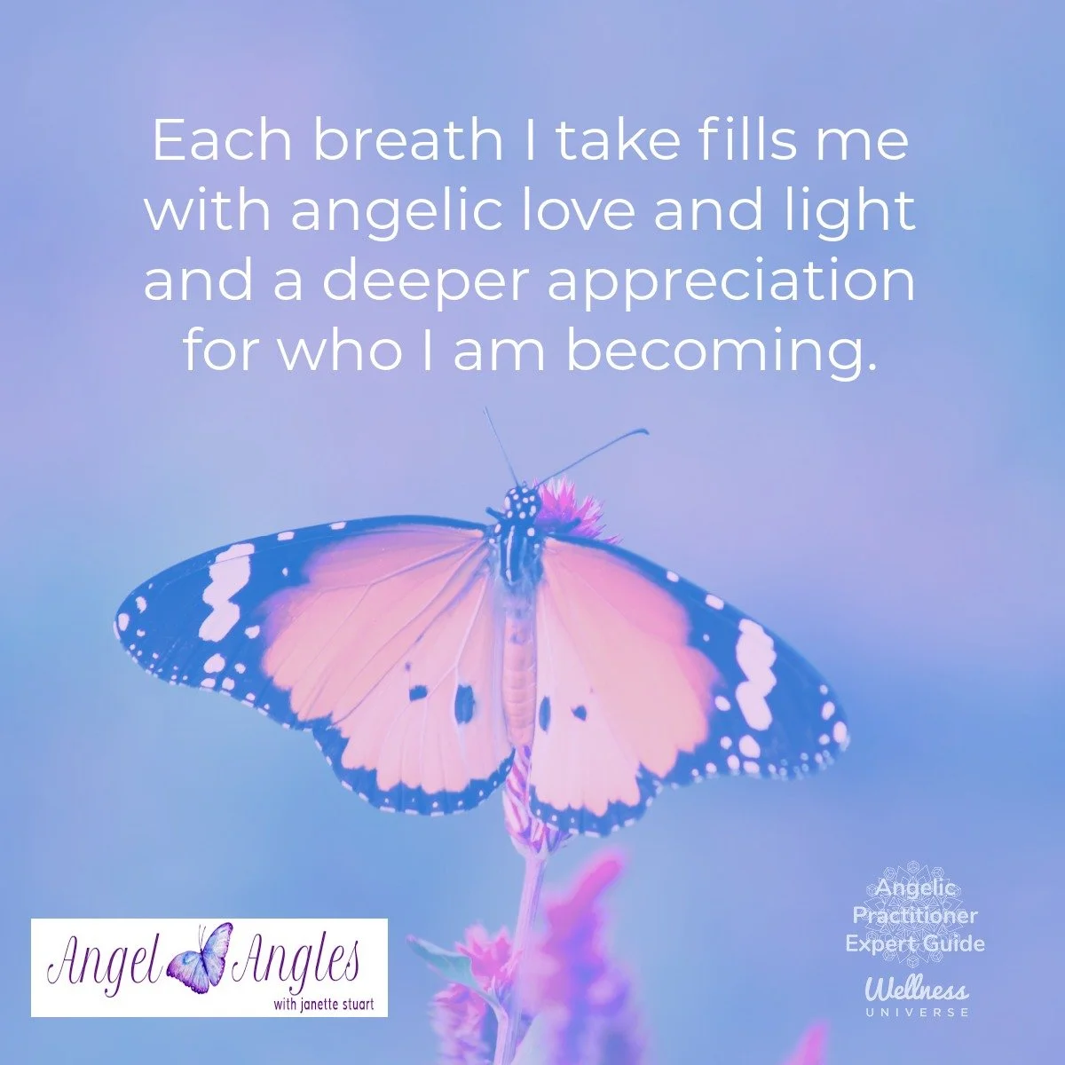 Hello and welcome to your Angel Affirmation for Thursday, Feb. 5, 2026. 

Each breath I take fills me with angelic love and light and a deeper appreciation for who I am becoming. 

Yes, amen, and so it is. 

Blessings of love, joy, and peace.
Love,
J
