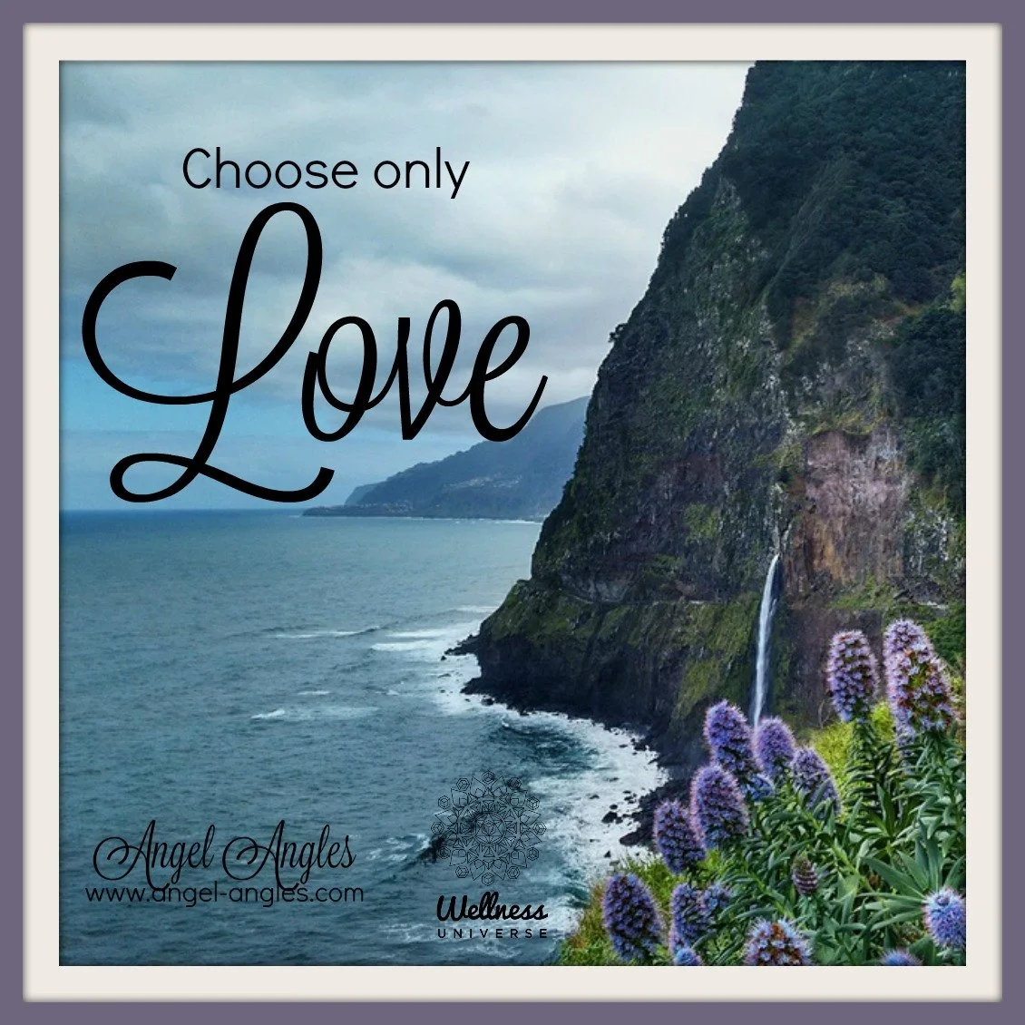 On this Valentine&rsquo;s Day, I am gently reminded of the sacred invitation to Choose Only Love. 

Not just romantic love, but the quiet, powerful love that begins within. 
The love that forgives. 
The love that softens harsh thoughts. 
The love tha