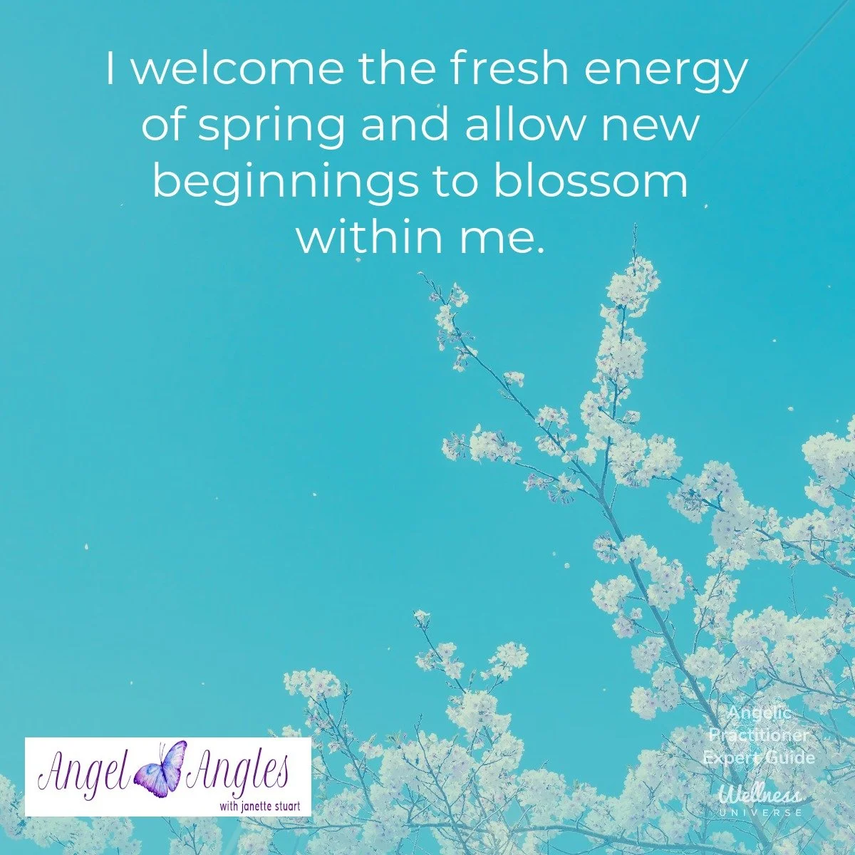 Hello and happy Monday, Mar. 2, 2026. Here's your Angel Affirmation of the Day. 

I welcome the fresh energy of spring and allow new beginnings to blossom within me. 

Yes, amen, and so it is. 

Blessings of love, joy, and peace.
Love,
Janette 
.
.
#