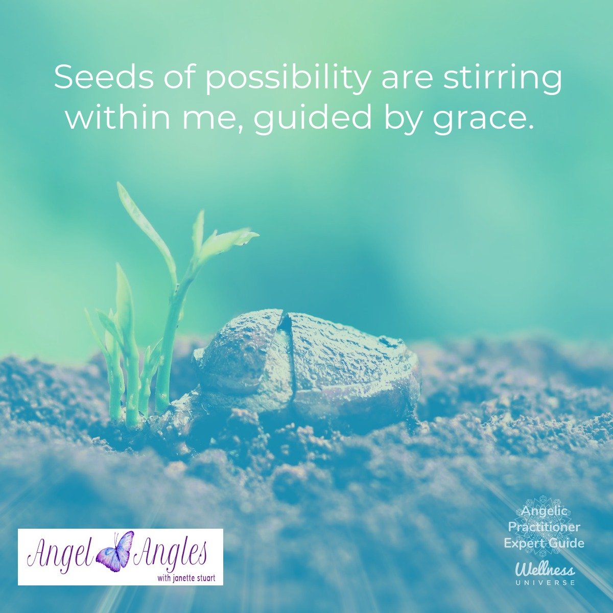 Hello and happy Thursday, Mar. 5, 2026. Here's your Angel Affirmation of the Day. 

Seeds of possibility are stirring within me, guided by grace. 

Blessings of love, joy, and peace.
Love,
Janette 
.
.
#WUVIP #WUWorldChanger #AngelAffirmations #Possi